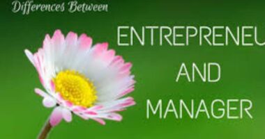 difference between entrepreneur and manager